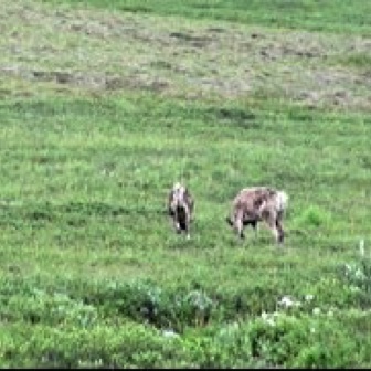 Screen Shot 2016-07-14 at 9.18.13 PM.jpg